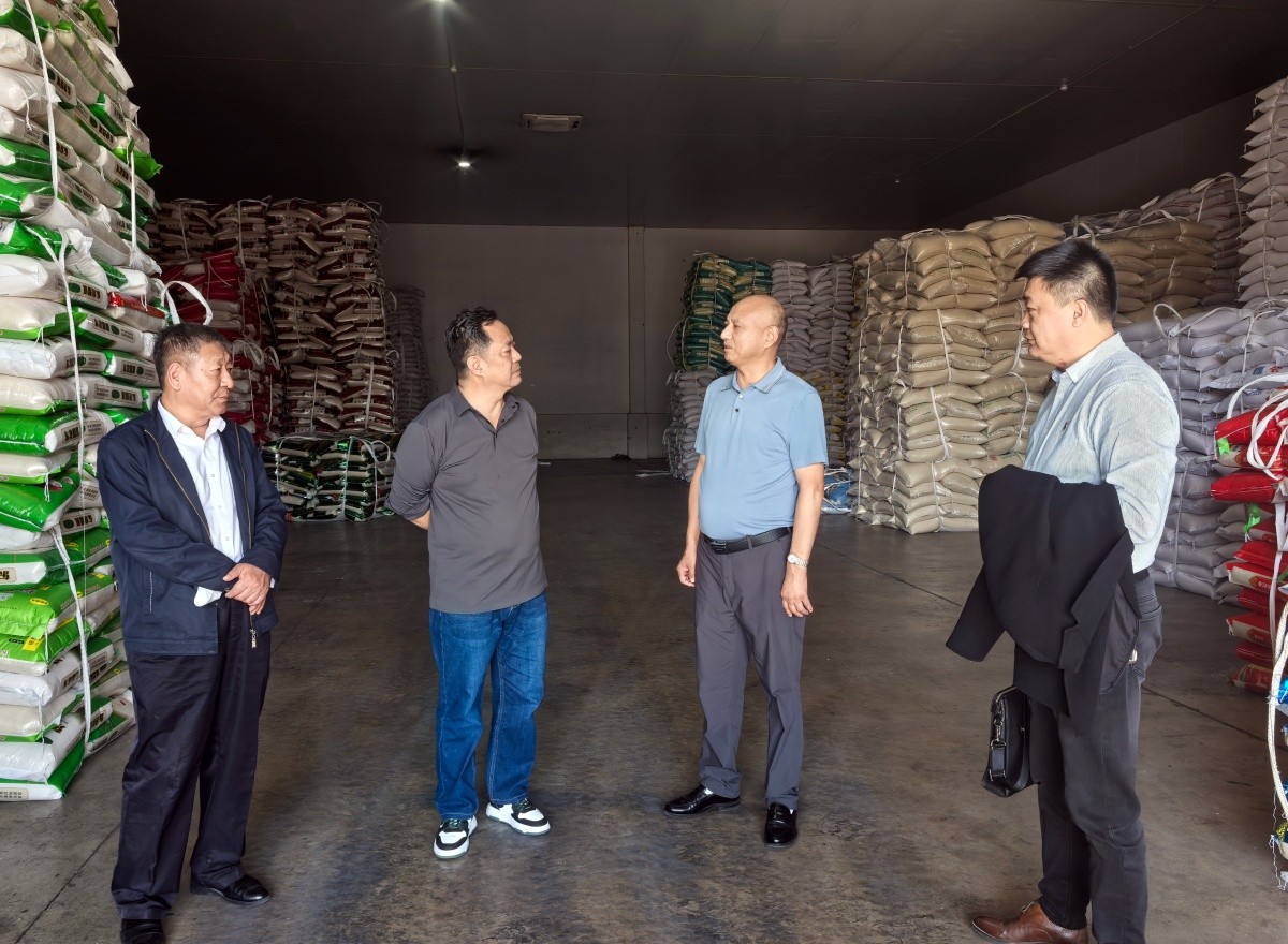 IMG_20251113_151947_副本.jpg IMG_20251113_151947_副本.jpg